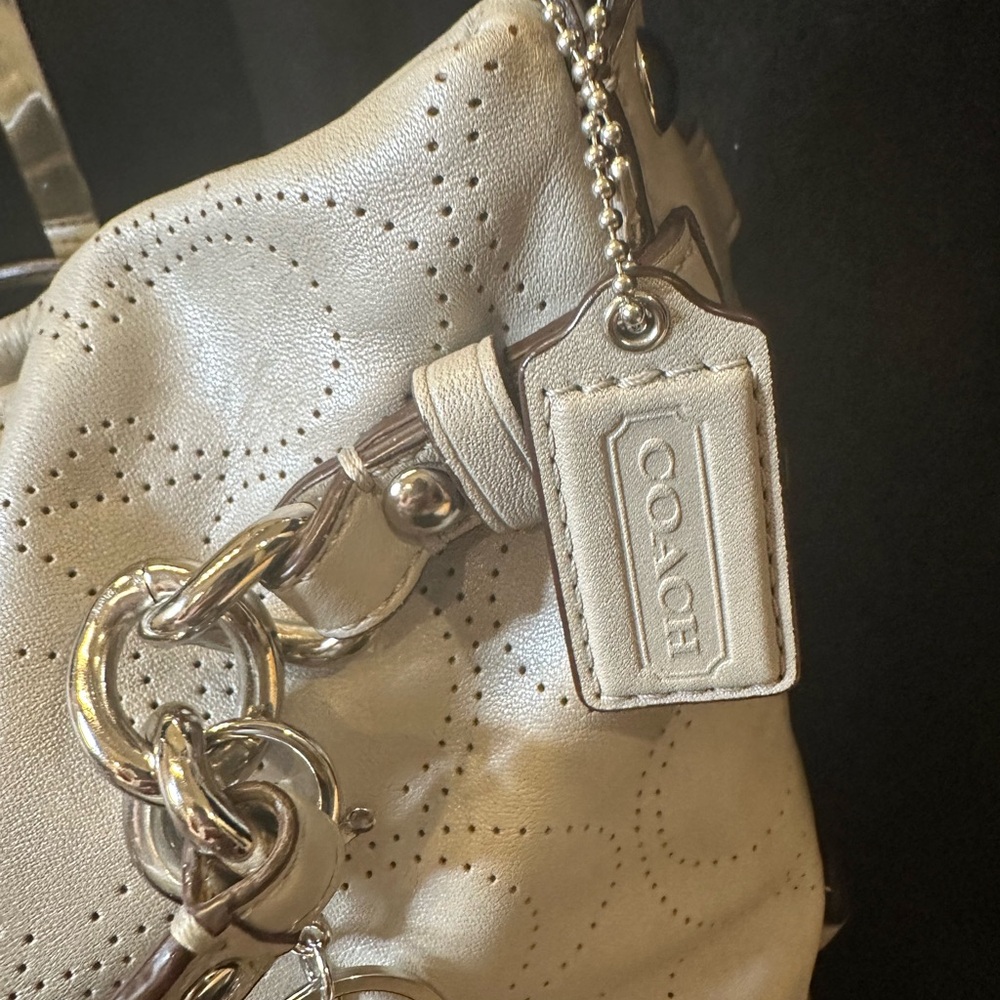 Coach BROOK HOBO Light Gray Pebbled Leather Shoulder Bag/satchel Gorgeous - Picture 3 of 14